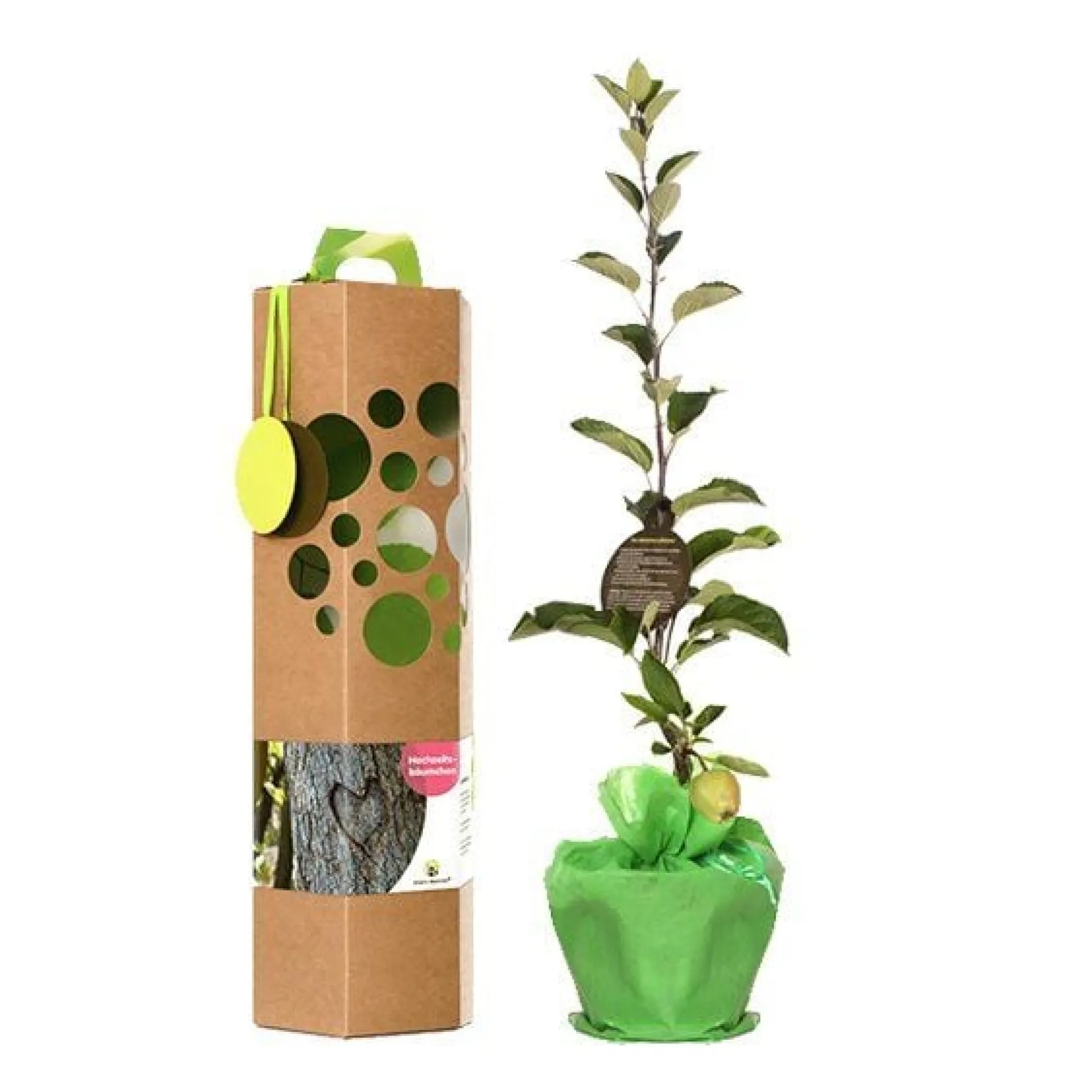 Produktbild: Hochzeitsbaum als Hochzeitsgeschenk
