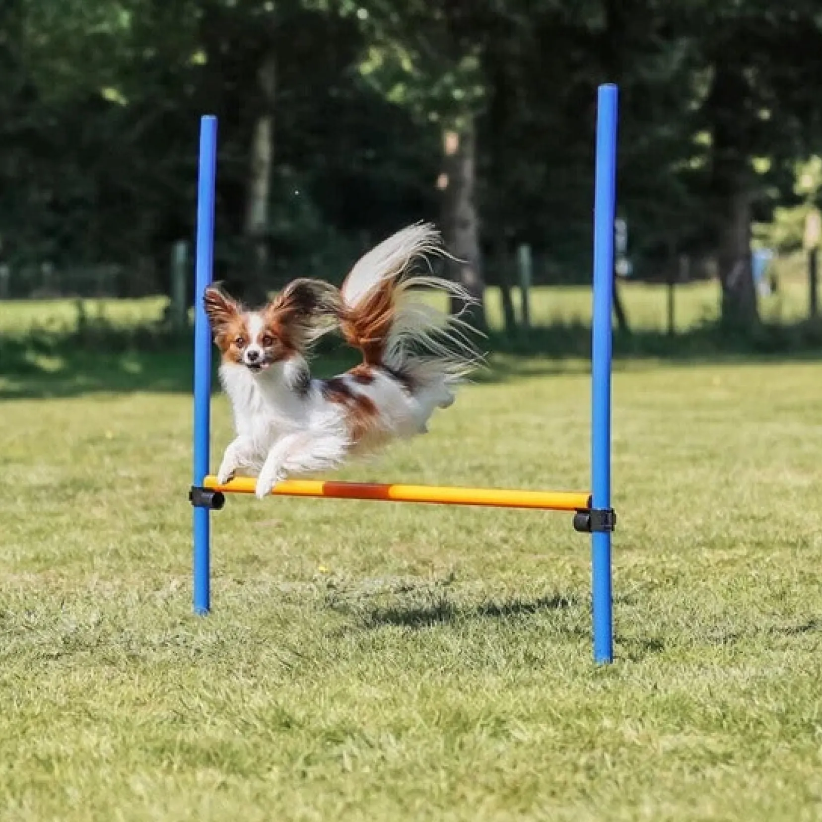 Produktbild: TRIXIE Fun Agility Hürde, Kunststoff, 113 × 110 cm, ø 3 cm, blau/orange